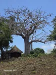 Eneo la Ekari 1 Karibu na Bahari, Diani - Galu Kinondo - 3