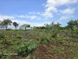 Eneo la Ekari 1 Karibu na Bahari, Diani - Galu Kinondo - 4