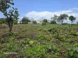 Eneo la Ekari 1 Karibu na Bahari, Diani - Galu Kinondo - 5