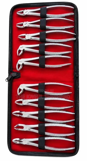 Dental Extraction Forceps Set - 10 Pieces