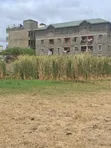 Ruiru Township Prime Commercial 1.6 Acres Near Golf Club - 5