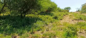 14 Acres Land for Sale near Kisamis Town