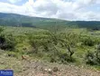 14 Acres Land for Sale near Kisamis Town - 2