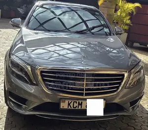 Mercedes-Benz S-Class S 350 CDI BlueEFFICIENCY (W221) 2013 Gray
