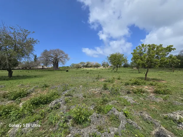Diani Quarter Acre Plots Near Ukunda Airport - 1