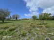 Diani Quarter Acre Plots Near Ukunda Airport - 1