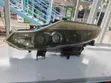 Nissan Murano Xenon Headlight - 1