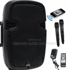 Public Address System with Bluetooth & 2 Microphones