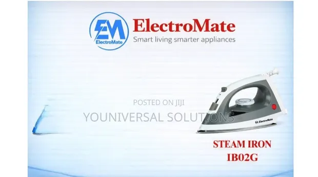 Electromate Steam Iron Box - 1