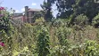Prime 50x100 Plot for Sale - Kabete, Rukubi, Kiambu County - 3