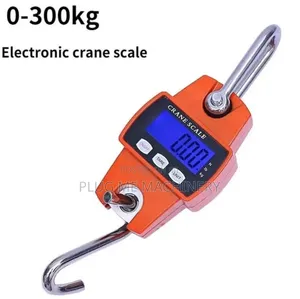 Crane Scale Mpya ya Uwezo wa 300kg
