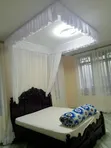 Quality Mosquito Nets - Brand New - 3