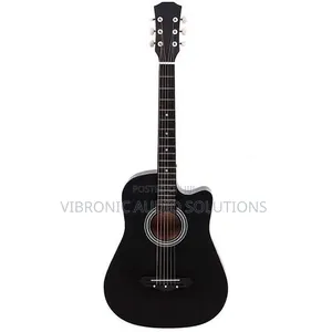 Ibanez Acoustic Guitar - Brand New