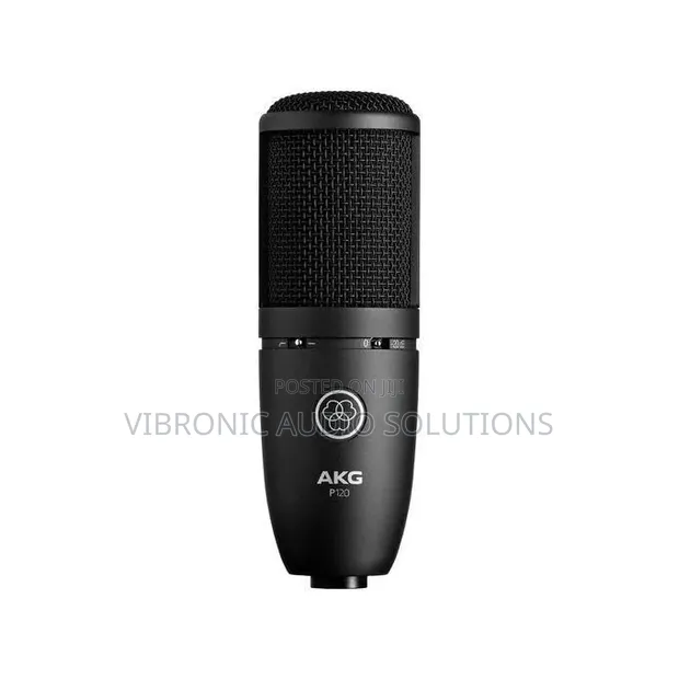 AKG P120 Condenser Microphone - 1