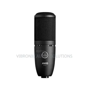 AKG P120 Condenser Microphone