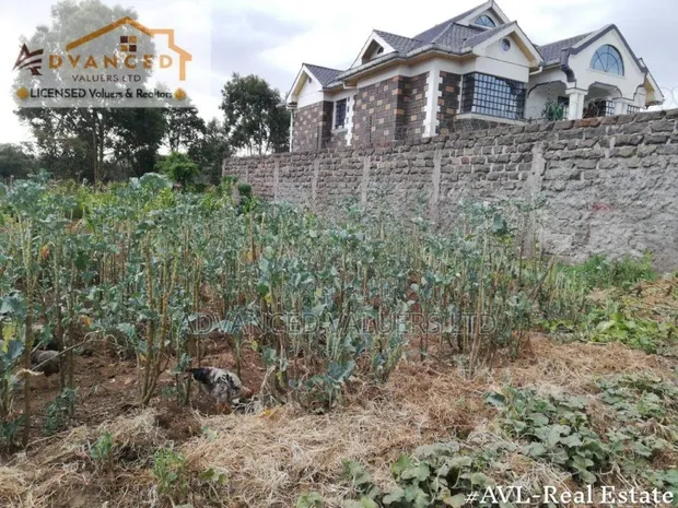 Kiwanja Bora cha Makazi, Soilo, Nakuru - 1