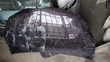 Bonnet ya Toyota Vitz Jewela 2012 - 1