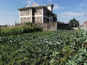 Prime 1/8 Acre Plot for Sale in Barnabas