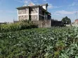 Prime 1/8 Acre Plot for Sale in Barnabas - 1