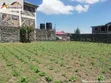 Prime 1/8 Acre Plot for Sale in Barnabas - 2
