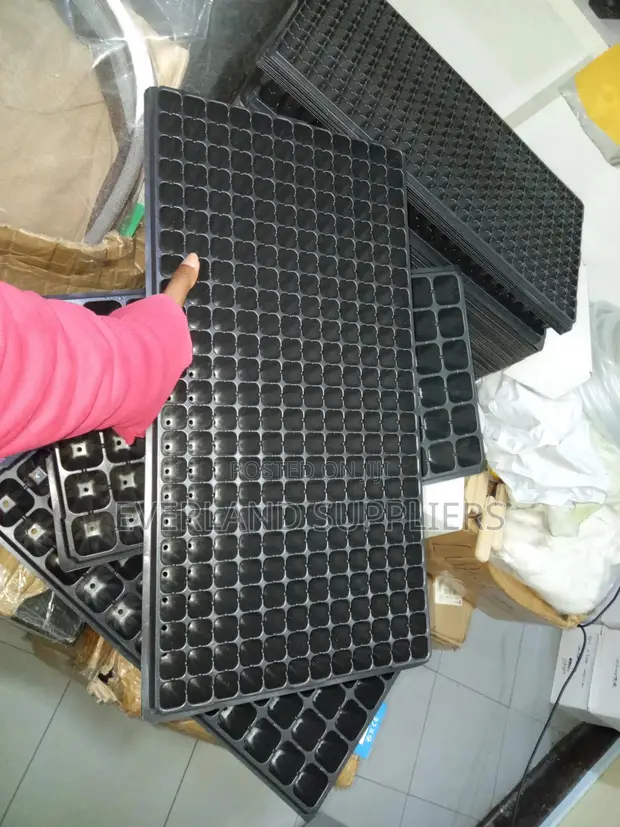 Organized Crop Starter Seedling Trays - Wholesale - 1