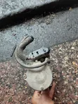 Toyota 2ZR Starter (Ex-Japan) - 3
