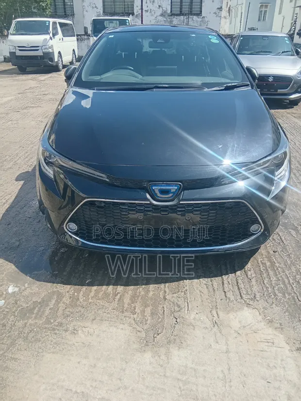 Toyota Corolla 2019 Hybrid - 1