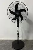 Electromate 16-Inch Black Standing Fan - 1