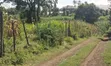 Viwanja Tayari kwa Ujenzi, Upper Zaburi Kiamunyi - 2