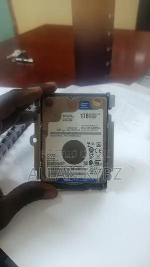 Western Digital Blue 1TB HDD