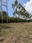 Ardhi ya Makazi Acacia - Kitengela - 2