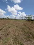 Ardhi ya Makazi Acacia - Kitengela - 5