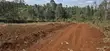 Vipande vya Ardhi vya Ikinu Prime - 50x100 - 5