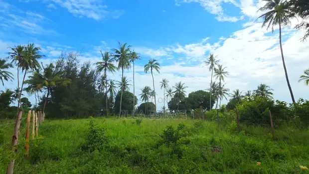 Kiwanja Adimu cha Pwani cha 1,450sqm Ukunda - 1