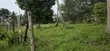 Kiwanja Adimu cha Pwani cha 1,450sqm Ukunda - 3