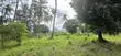 Kiwanja Adimu cha Pwani cha 1,450sqm Ukunda - 5