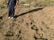 Kiwanja cha Makazi Naivasha kwa Uuzaji - 1