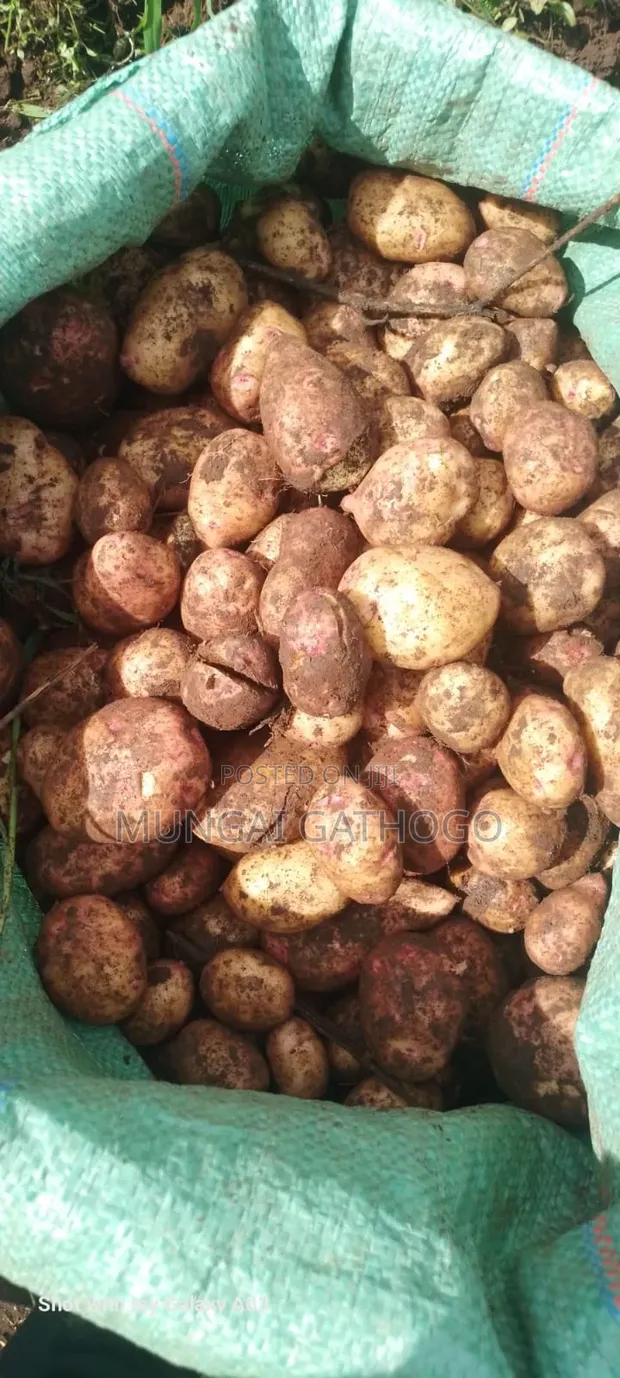 Viazi vya Alpha Foods - 1