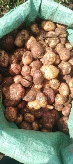 Viazi vya Alpha Foods