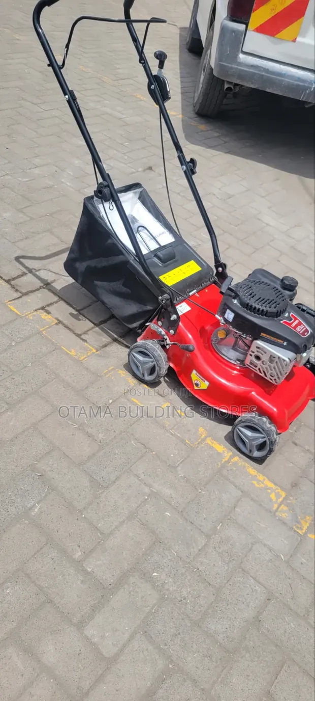 Professional Lawn Mower / Grass Cutter - 1