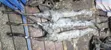 Ex-Japan Steering Rack ya Toyota Corolla Fielder - 2