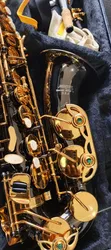 Brand New Alto Saxophone - 2