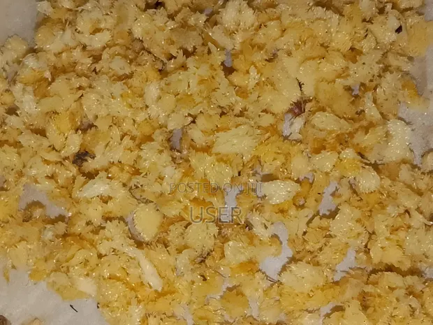 Black Soldier Fly (BSF) Eggs - 1