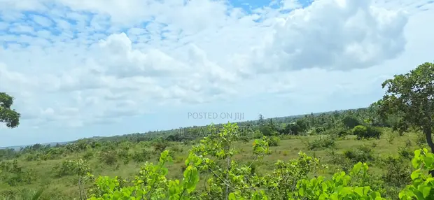 Eneo Bora la Ekari 5 Lililo Mteremko Likiangalia Msitu na Bahari - 1