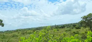 Eneo Bora la Ekari 5 Lililo Mteremko Likiangalia Msitu na Bahari