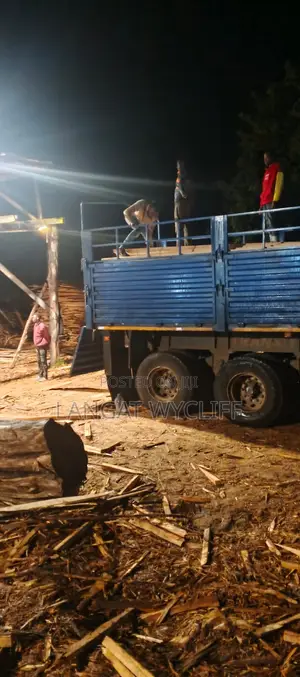 Nyenzo za Ujenzi Zinazodumu