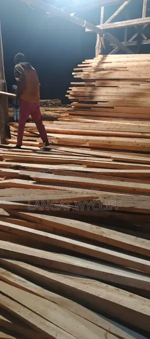 Nyenzo Imara na Zinazoweza Kutumika Kwingi za Ujenzi