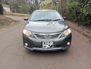 Toyota Allion 2013 Grey