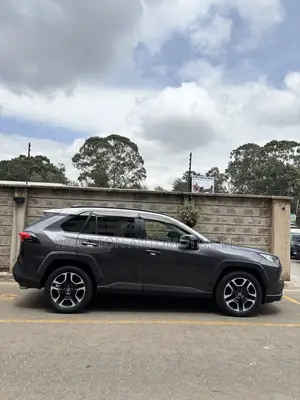 Toyota RAV4 Adventure 2019 Kijivu