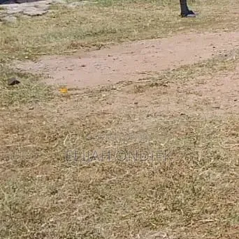0.04 Ha Prime Plot for Sale in Chiga/Kibos Area - 1
